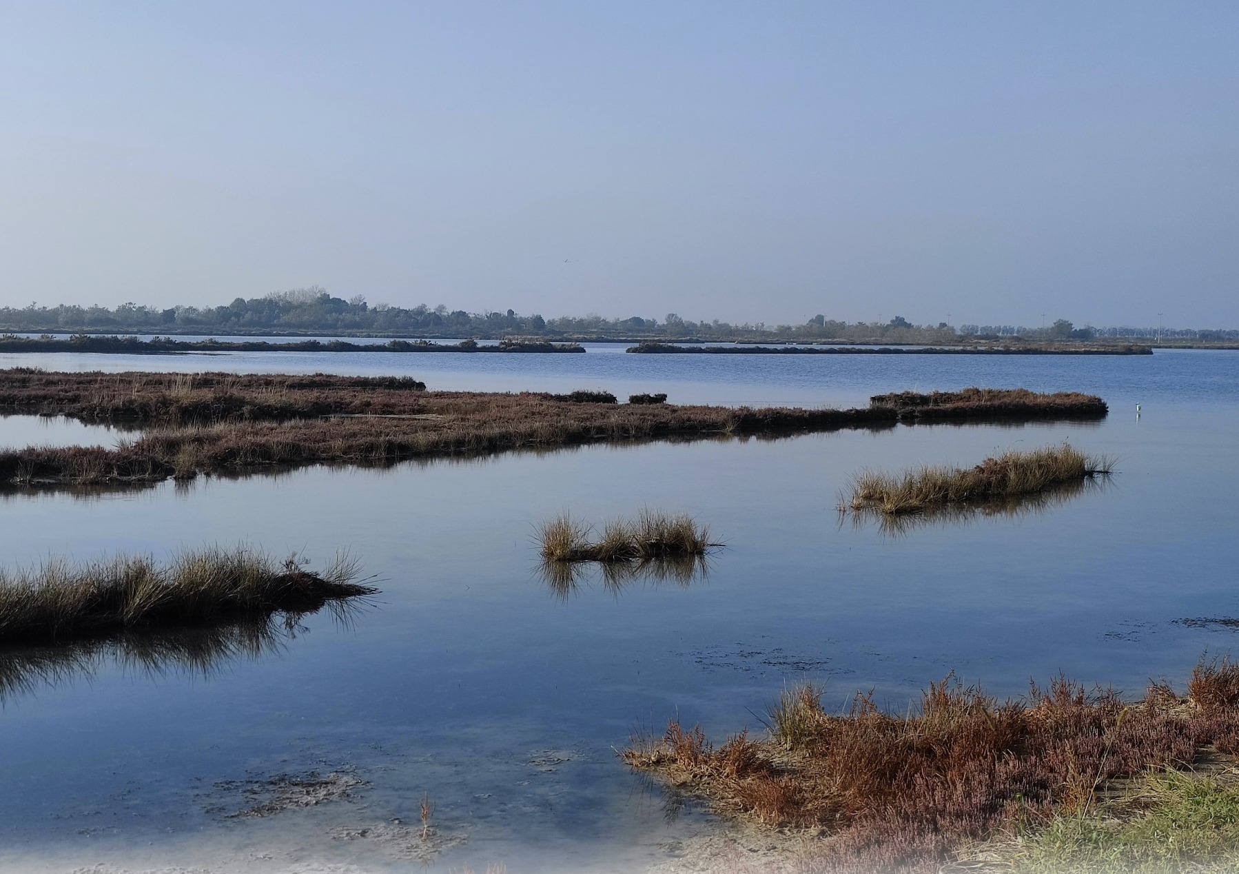 Diving: guided tours of the AquaGranda project